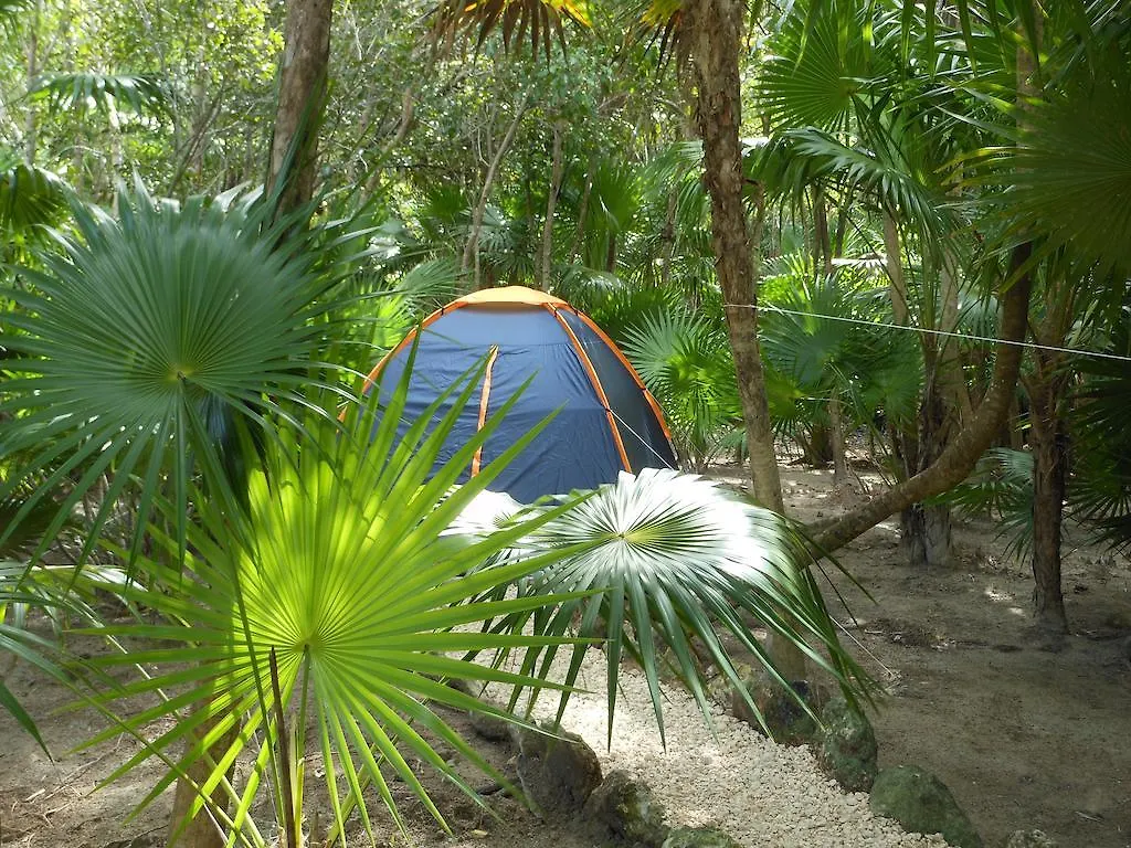Turquesa Tulum Jungle Camping Hotel