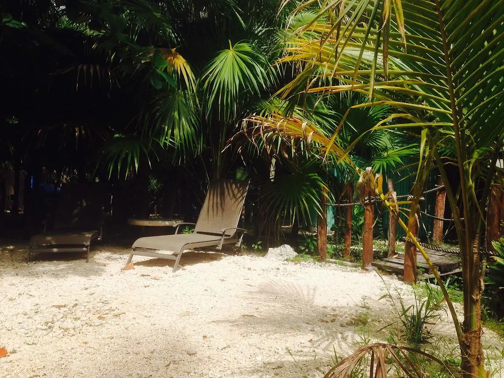 Turquesa Tulum Jungle Camping Hotel Mexico