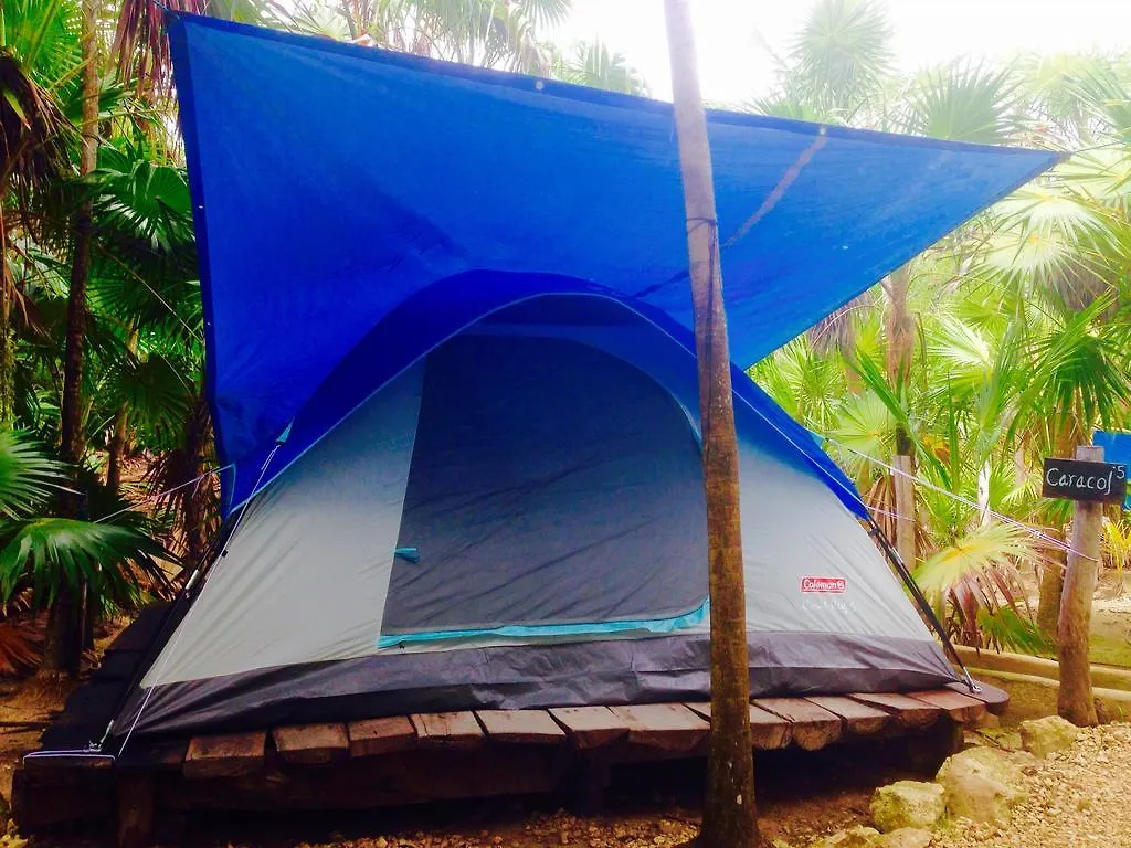Turquesa Tulum Jungle Camping Hotel Mexico